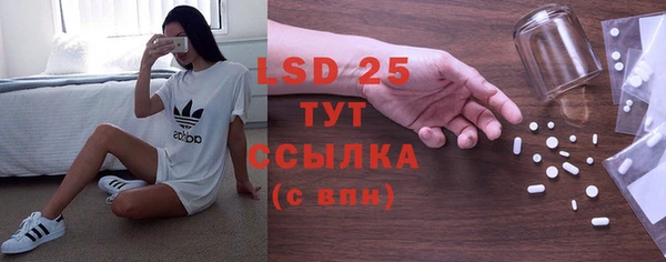 ГАЛЛЮЦИНОГЕННЫЕ ГРИБЫ Сясьстрой