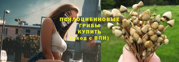 бошки Баксан