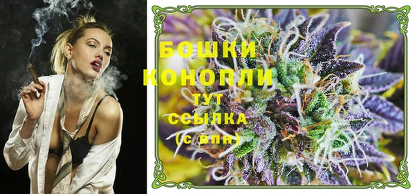 стафф Тавда
