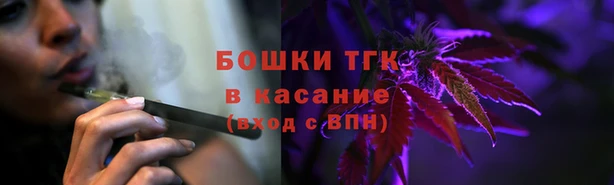 стафф Тавда
