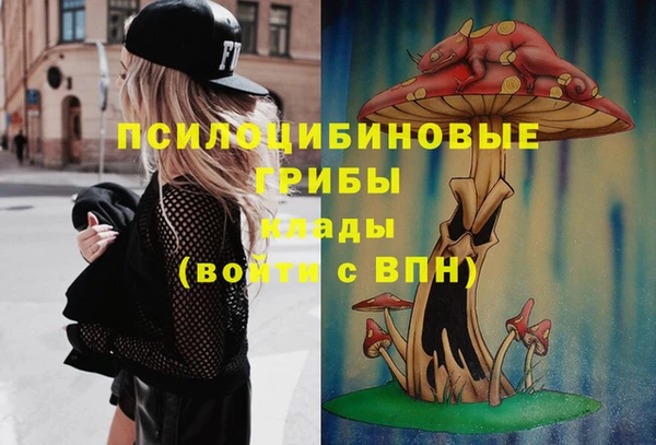 ГАЛЛЮЦИНОГЕННЫЕ ГРИБЫ Сясьстрой