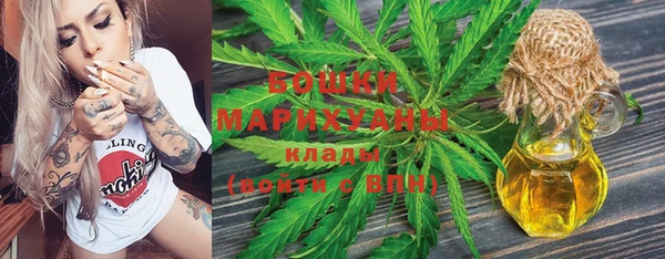 ГАЛЛЮЦИНОГЕННЫЕ ГРИБЫ Сясьстрой