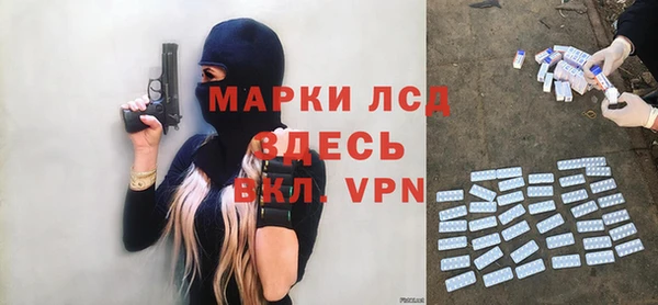 ГАЛЛЮЦИНОГЕННЫЕ ГРИБЫ Сясьстрой