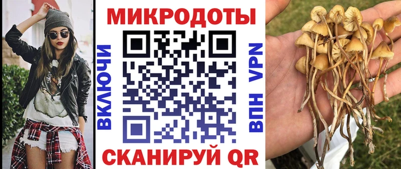 нарко площадка наркотические препараты  купить наркотики цена  Бутурлиновка  Галлюциногенные грибы Cubensis 